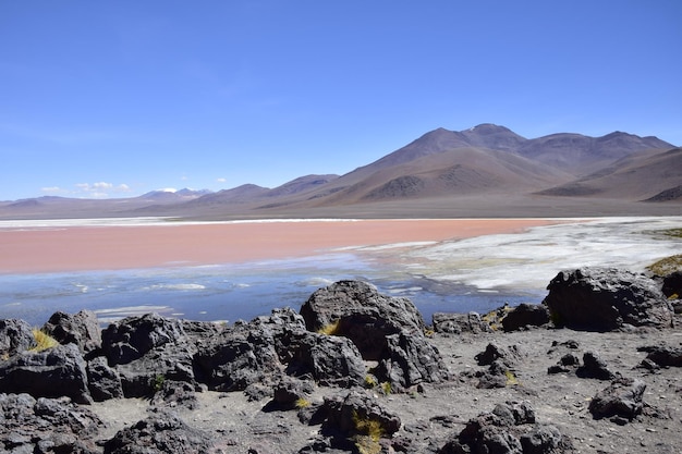 Laguna Colorada on Eduardo Avaroa National Reserve in Uyuni Bolivia at 4300 m above sea level