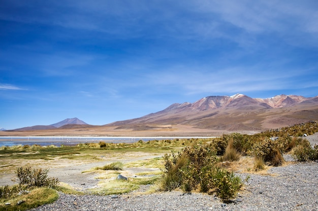 Laguna Colorada in Bolivia