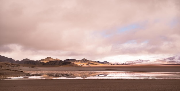 Photo laguna grande argentina salar con flamencos