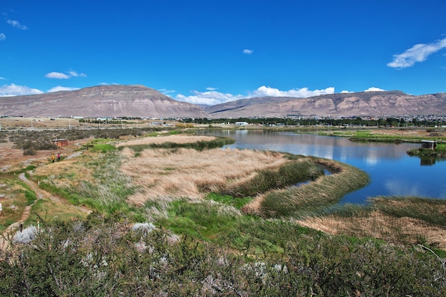 Laguna Nimez Reserva рядом с Эль Калафате в Патагонии, Аргентина