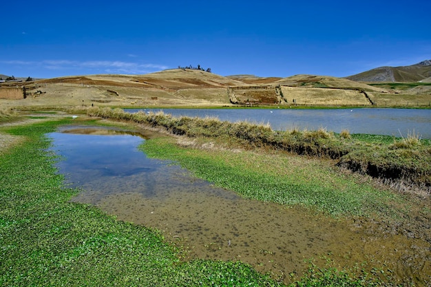 Foto lagune van de andes