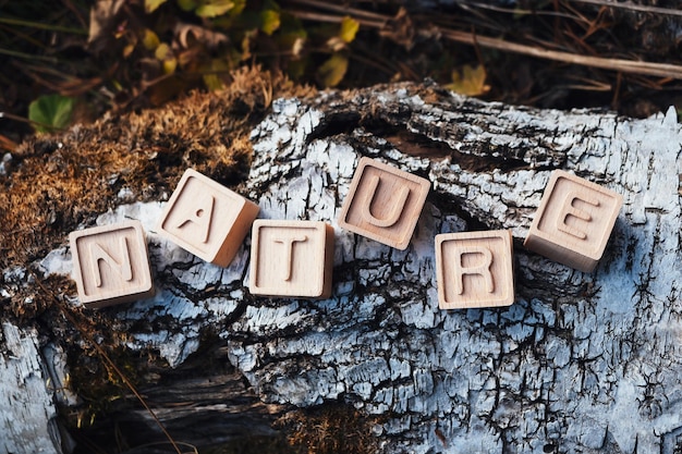 The laid out inscription nature from wooden cubes Birch fallen tree in the autumn forest The concept of nature conservation