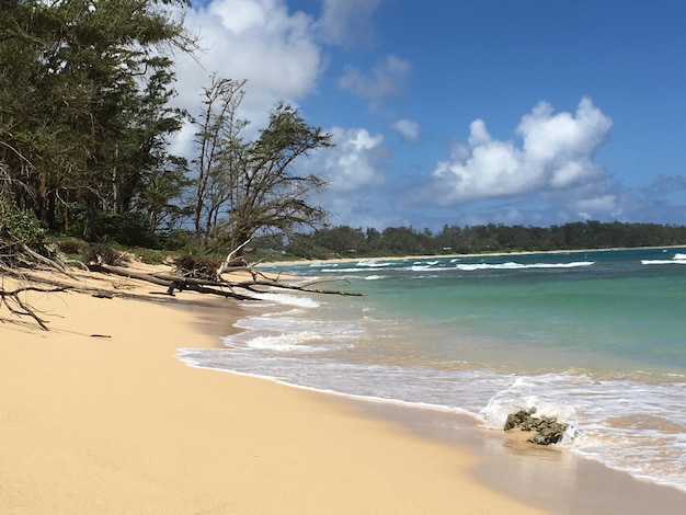 Foto la spiaggia di laie