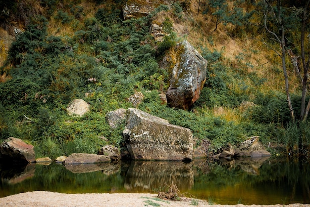 Foto lago contro montagna nella foresta