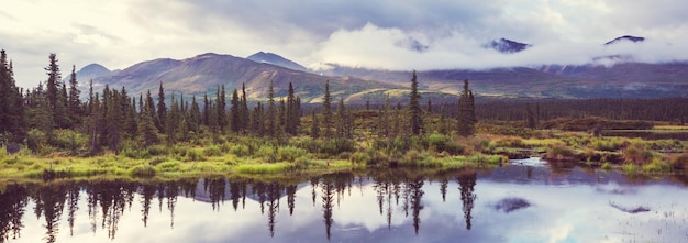 Lake in Alaska panorama