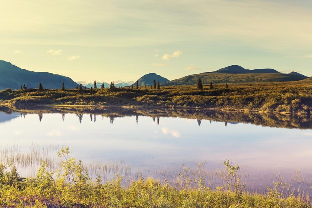 Lake in Alaska