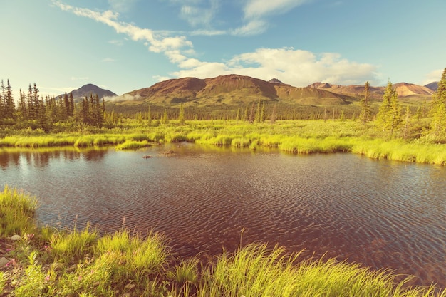 Lake in Alaska