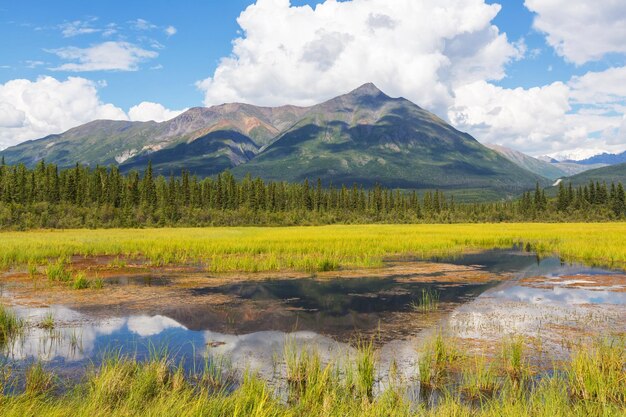 Lake on Alaska