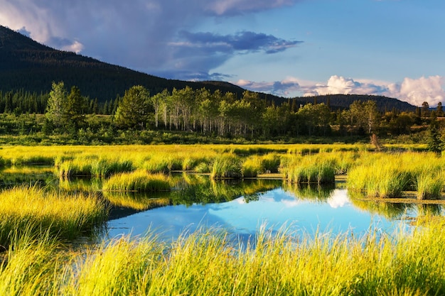 Lake on Alaska