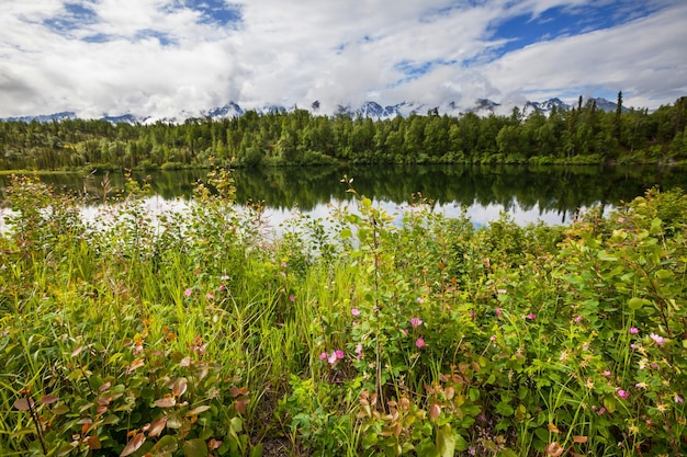 Lake on Alaska