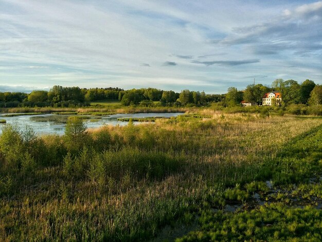 Lake amidst grassy field against cloudy sky