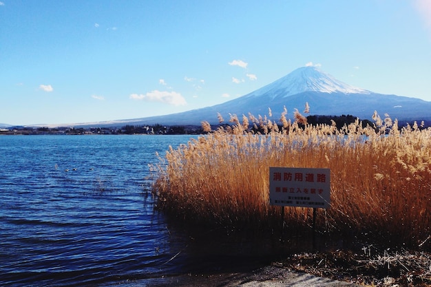 写真 湖と山