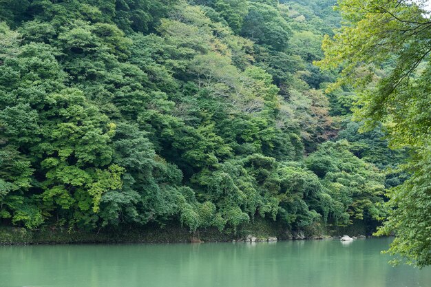 Photo lake of arashiyama