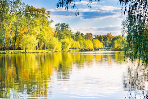 Lake in autumn fall park