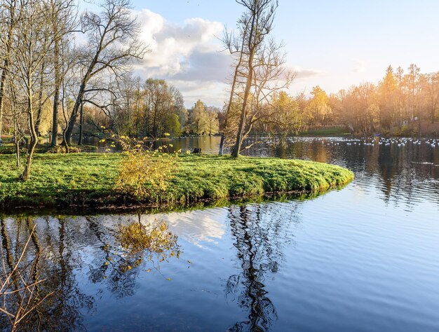 Lake in the autumn park at sunset