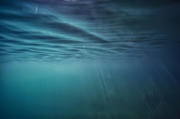 湖の背景水水中抽象/淡水ダイビングの背景自然水中生態系の背景