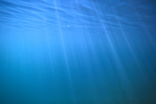 湖の背景水水中抽象/淡水ダイビングの背景自然水中生態系の背景