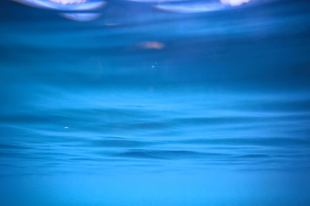 湖の背景水水中抽象/淡水ダイビングの背景自然水中生態系の背景