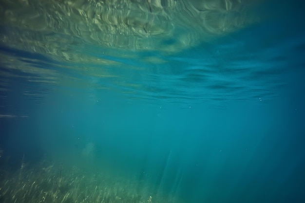 湖の背景水水中抽象/淡水ダイビングの背景自然水中生態系の背景