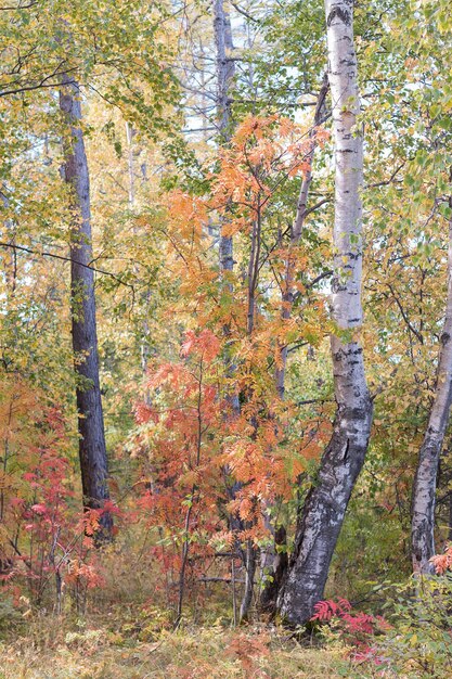 lake Baikal in autumn and summer