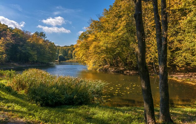 at a lake. beautiful nature. autumn colors. relaxation