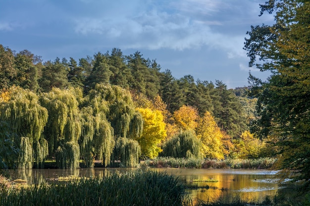 at a lake. beautiful nature. autumn colors. relaxation