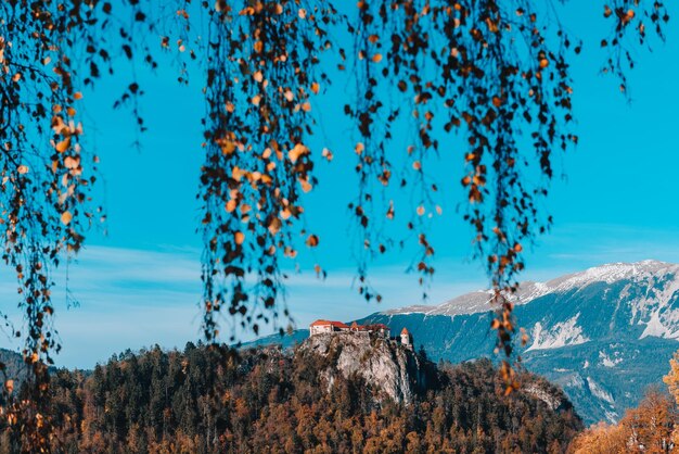 Lake Bled in the Alpine mountains