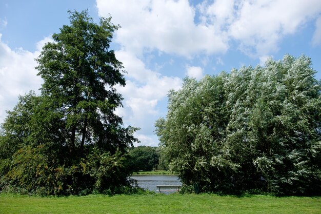 Photo lake in borken westphalia