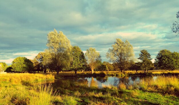 Lake by trees against cloudy sky