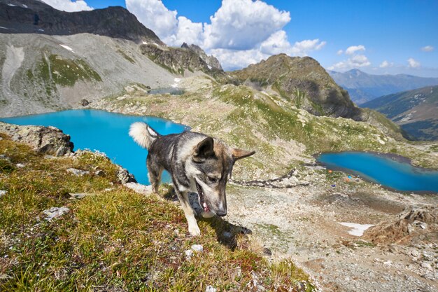 Озеро Кавказские горы летом, таяние ледникового хребта Архыз