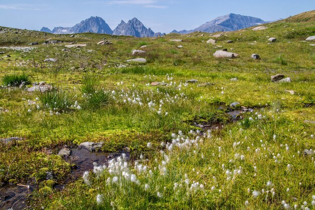 Lake of charamillonchamonixhaute savoie