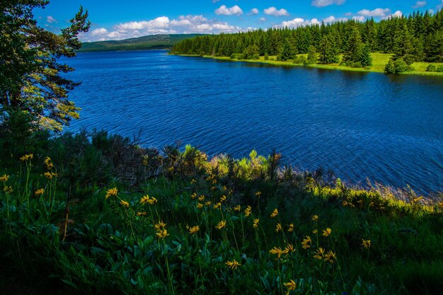 Lake of charpal lozerefrance