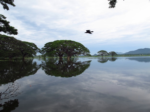 湖はスリランカのヤラ国立公園を閉じます