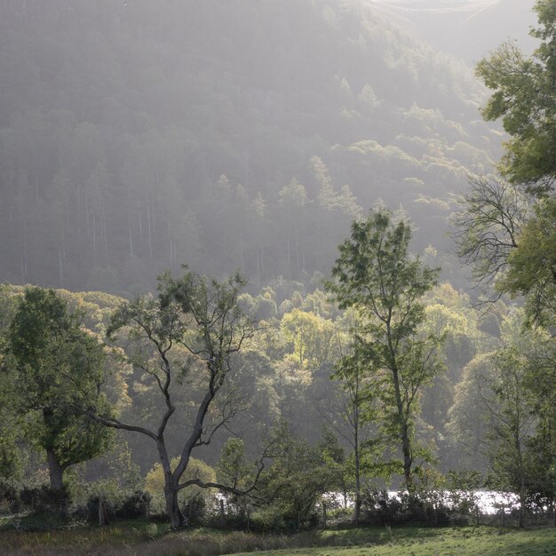 Photo lake district