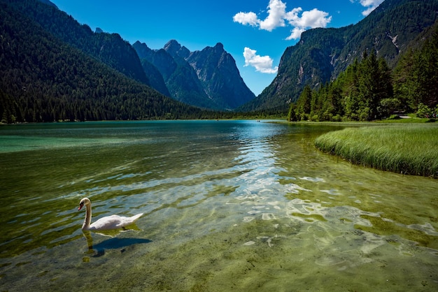 Dolomites의 Dobbiaco 호수, 아름다운 자연 이탈리아 자연 풍경 알프스.