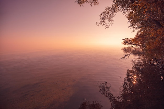 早朝の霧の朝の湖 湖の日の出 美しい朝の風景