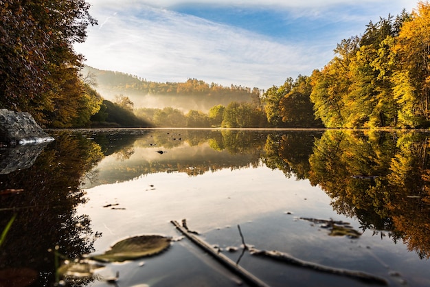 Lake fog landscape with Autumn foliage and tree reflections in Styria Thal Austria