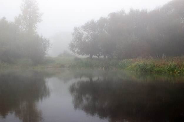 Lake in the fog of reflection