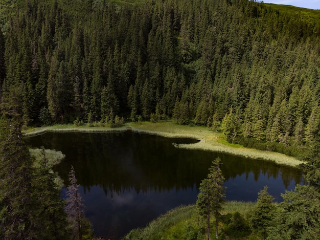 lake in the forest in lower tatra mountains