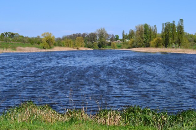 Lago nella foresta alberi del paesaggio fluviale sullo sfondo