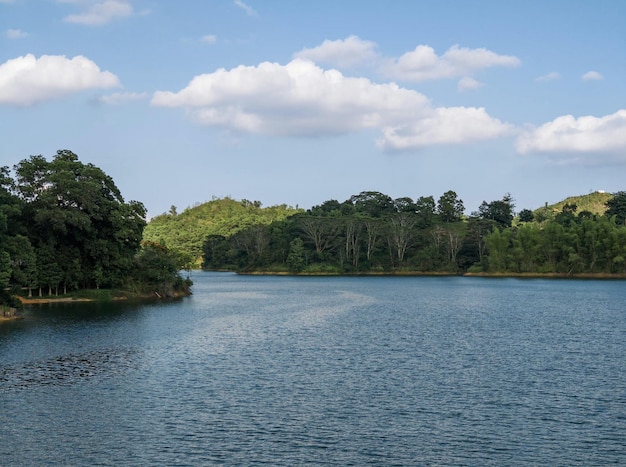 A lake in the forest with a blue sky and clouds