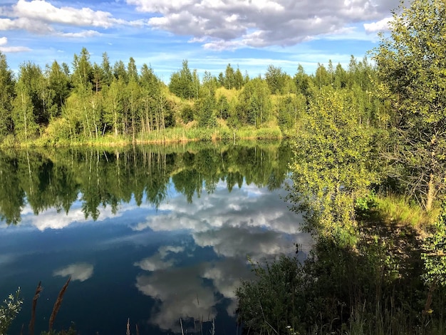 A lake in the forest with clouds reflecting on the water