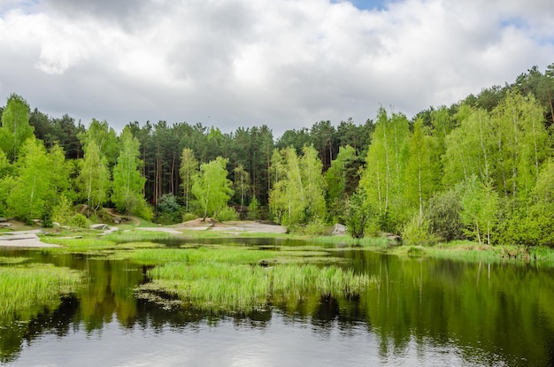 A lake in the forest with trees and a cloudy sky