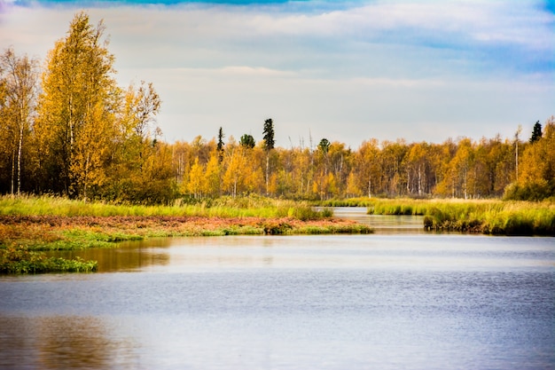 The lake in the forest. Yamal.