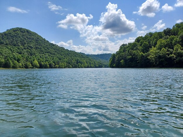 Lake and Forest