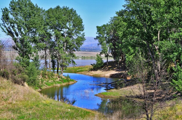 Lake in the forestx9