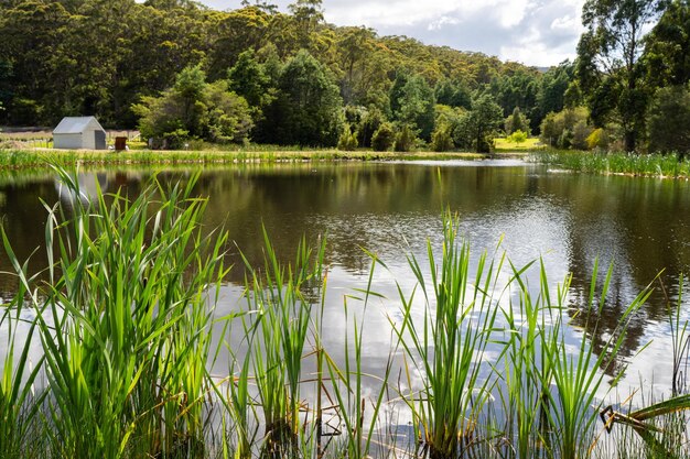 Photo lake in a garden for irrigation for a farm in australia