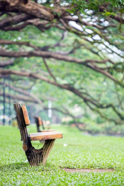 Lake garden at taiping malaysia