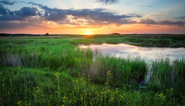 Lake among green grass at sunset