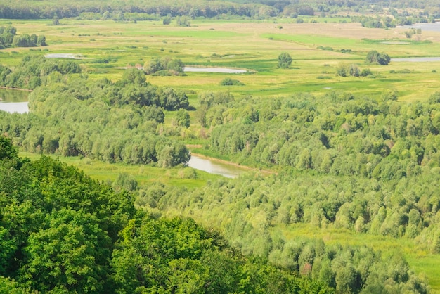 Lake in a green valleytop view